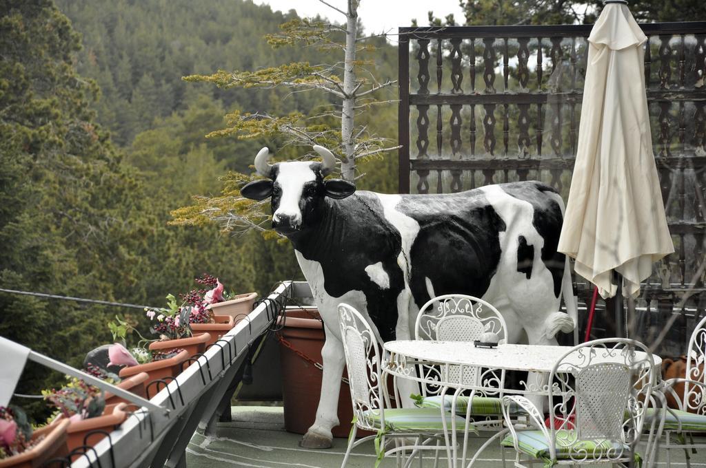 Hotel Amoretes La Molina  Eksteriør bilde